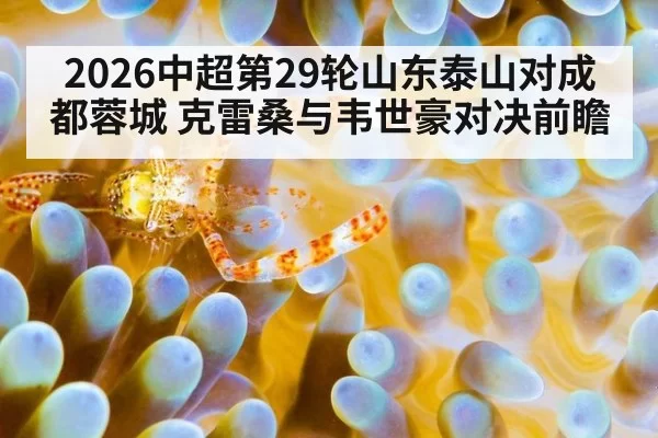 2026中超第29轮山东泰山对成都蓉城 克雷桑与韦世豪对决前瞻